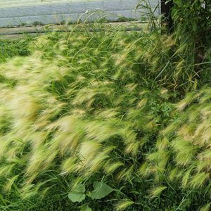 苏霍姆林斯基《给教师的建议》