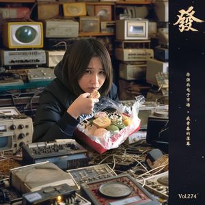 274期 - 在华强北电子市场 · 我的青春落幕了