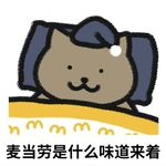 麦麦小狸猫