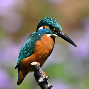 🦜小鸟的独门绝技!内置导航,邓巴朋友圈+冬天光腿神器!