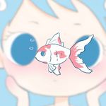 璞鱼鱼