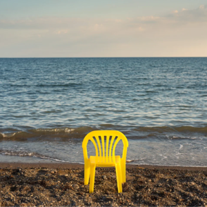 鬼台第492期:空城祭