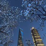 Ellis_319