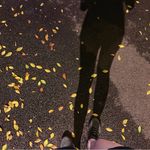 爱天马行空的Cassia