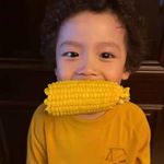 无畏小屁
