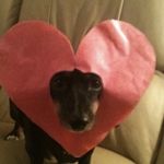 曼妥思耶夫司机