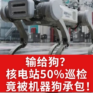 第549集 输给狗？核电站50%巡检竟被机器狗承包！