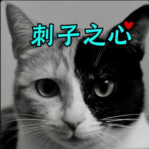 70.多巴胺断食和言语断食