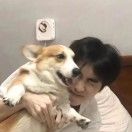 小顾小顾不屑一顾