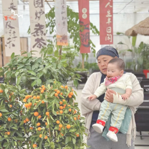 05/10 姥姥的新功课