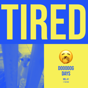 vol.41：人生场场是即兴