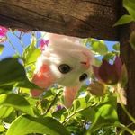段段万顺屋