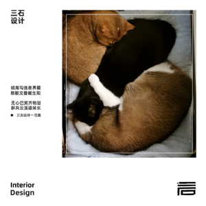 D13三石设计工作室丨初五迎财神特辑：室内设计的风水和风格，归于不被定义的舒适