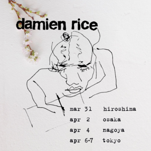 我在Damien Rice的演唱会上哭成傻X