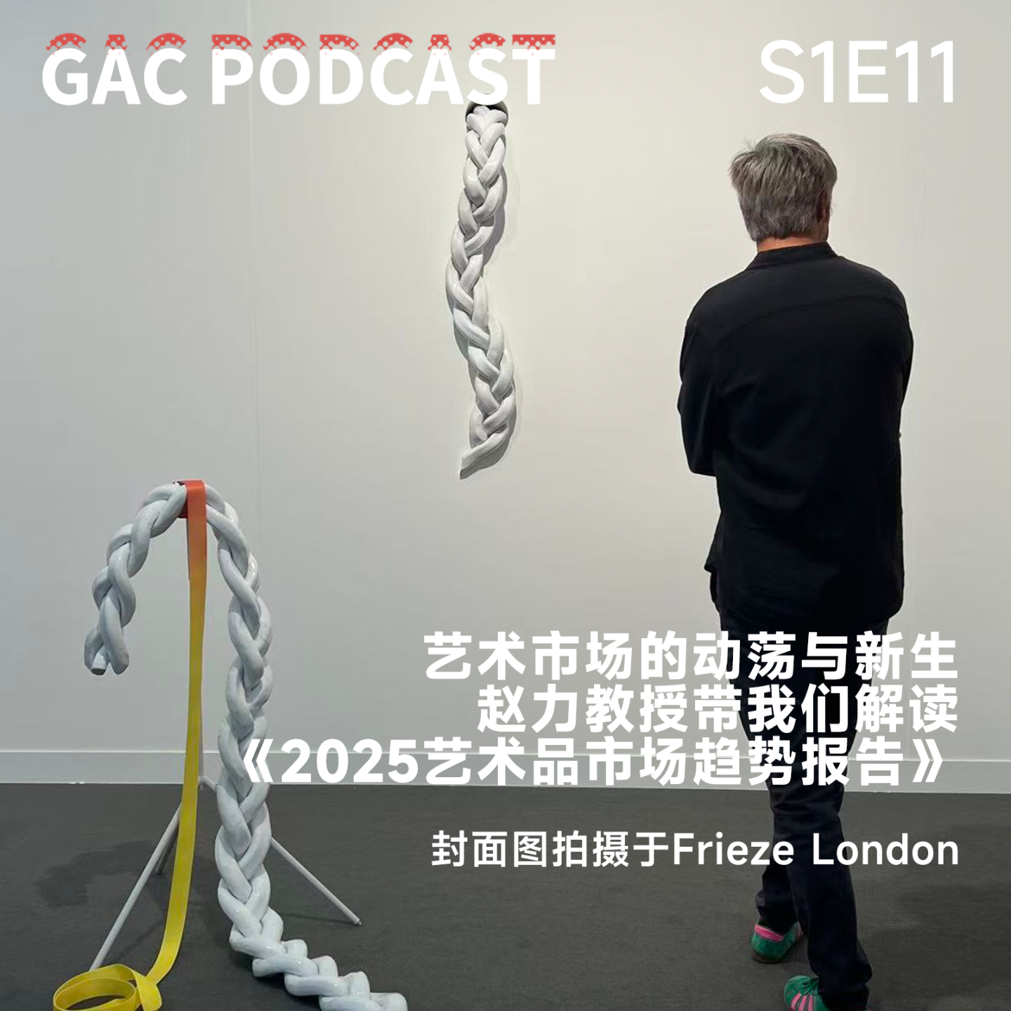 S1E11 艺术市场的动荡与新生，赵力教授带我们解读《2025艺术品市场趋势报告》 episode artwork