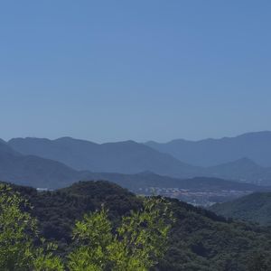 107期:她们只是30+单身而已，不是得了“瘟疫”。