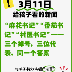 3月11日“麻花书记”“番茄书记”“村医书记”——三个绰号，三位代表，同一个答案