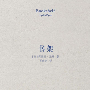 41 把《书架》放在书架上就成了书架