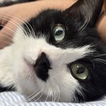 大宝是个碎嘴子