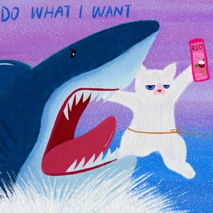 彼此彼此-李顺顺