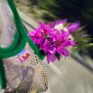 Vol.63 有困多游荡(超长流水账式的旅行碎碎念:)