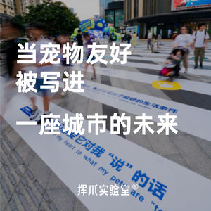E.7 当宠物友好被写进一座城市的未来