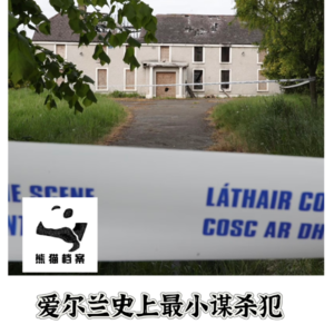 E09. 十四岁少女的墓碑:最小谋杀犯和爱尔兰的长夜