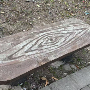 5. 我喜欢人类的理由