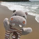 滔滔不绝的滔滔