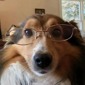 podcaster-avatar