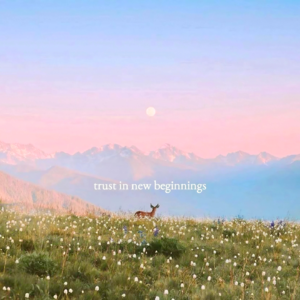 VOL490.电影《过年》：反贺岁片内核下的家庭话语权更迭。