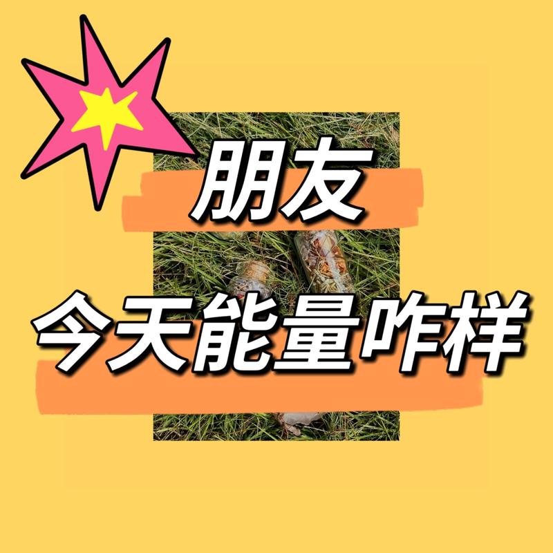 podcast-avatar