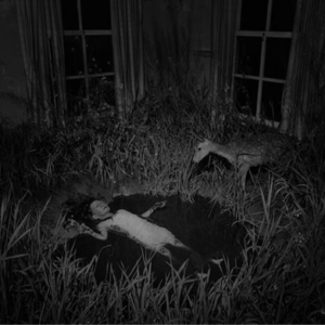 【都市传说·纯享版】旗杆做香，岗亭为棺——上海某高校白骨事件