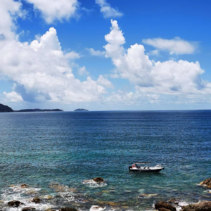 关于M2的鬼故事！