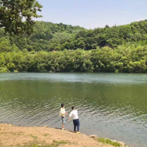 016 ｜ 「書店系列」为什么只卖书的书店越来越少了？？