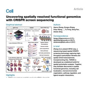 1104-Spatial CRISPR Screening with SPAC-seq