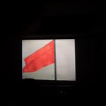 花儿为什么开