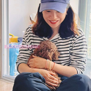 世界破破烂烂 小狗缝缝补补