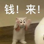 涂女士在搞钱
