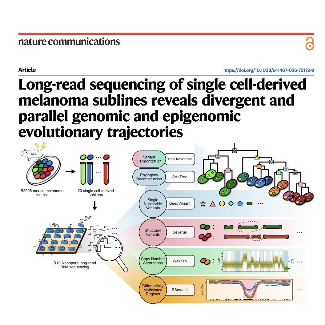 1581-Long-Read Sequencing of Melanoma Subclonal Evolution episode artwork