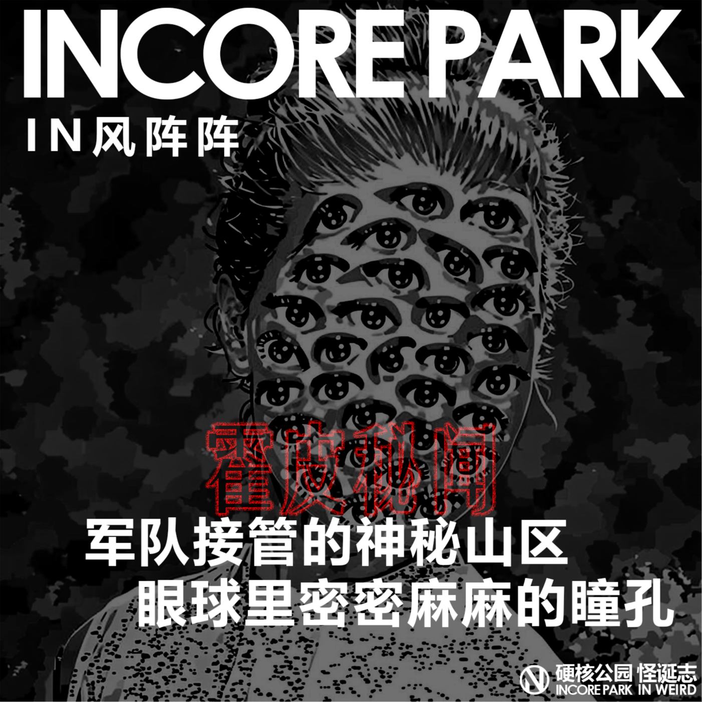 vol.386 IN风阵阵 军队接管的神秘山区，眼球里密密麻麻的瞳孔 episode artwork