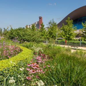 179 美国景观设计师 乔治·哈格里夫斯