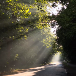 如何在匮乏中消除匮乏感