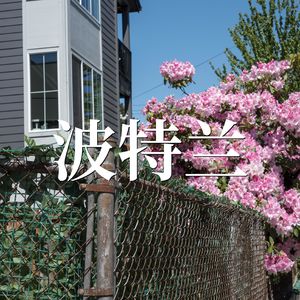 92.波特兰的一些溜达，黑胶店，书店，咖啡馆和花园