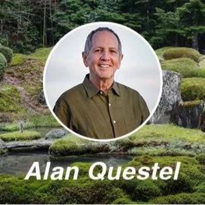 {八仙过海} Alan Questel - 线条与温柔的手指