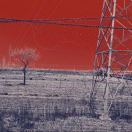 看流星雨的小朋友