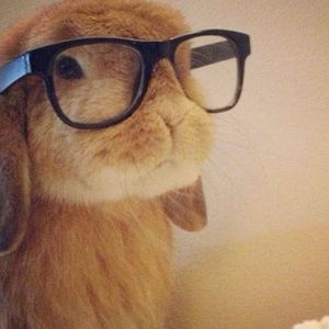 podcaster-avatar