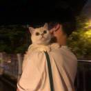 Insecure的莫莫