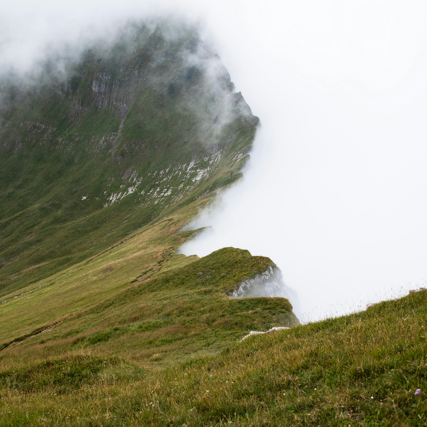 EP120丨介入别人命运因果的尺度