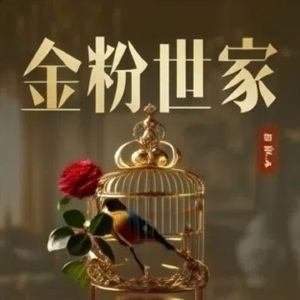 金粉世家001 书春的妇人
